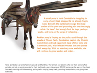 Direct Mail Appeal on Equines for WSPA